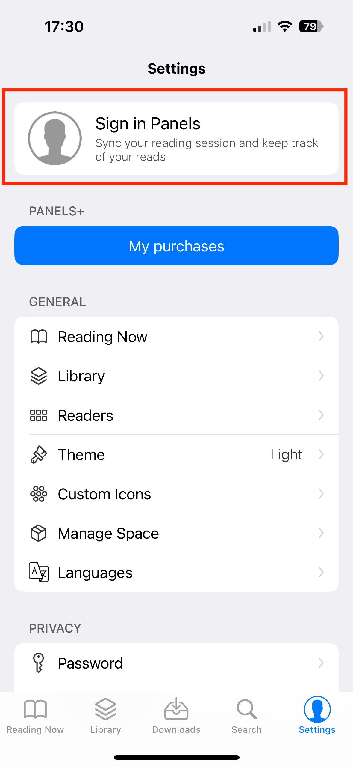 iPhone showing panels settings